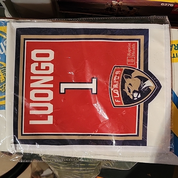 NHL Florida Panthers #1 Roberto Luongo Jersey Retirement Souvenir Banner NEW - Picture 1 of 2